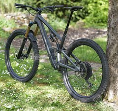 Specialized Stumpjumper Evo full 29" mit viel Carbon und Trickstuff