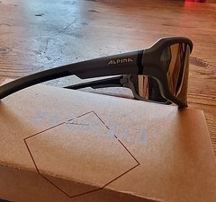 Alpina Sportbrille