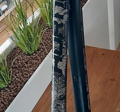 Dartmoor Hornet L Enduro/Freeride-Bike bis zu 180mm Federweg