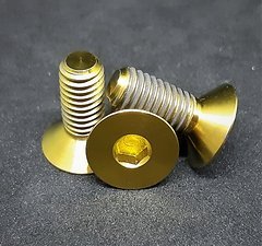 Ti-Suspension TITAN Kettenführungs Schrauben gold M6x15 NEU