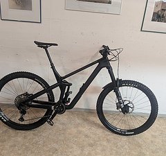 Canyon Strive 8.0 CF XL