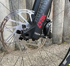 YT Industries YT Capra CF Pro Race XL 2019