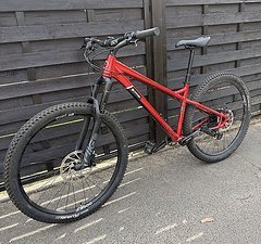 Orange Crush 29 Pro - TOP Zustand