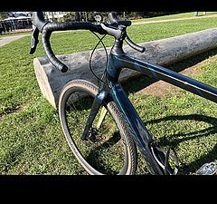 Specialized Diverge Expert Carbon