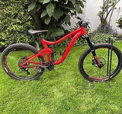 Giant Reign Modell 2019 - Größe L