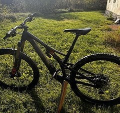 Specialized Stumpjumper Carbon Rahmen