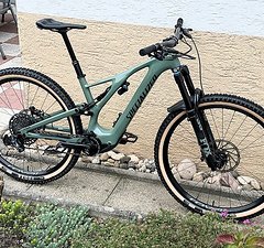 Specialized Levo SL Expert Carbon (29", Gr. M, gepflegt)