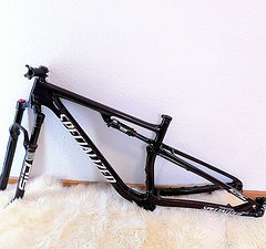 Specialized Epic