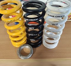 Cane Creek VALT Progressive Feder 65mm 450-550 lbs
