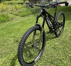 Specialized Stumpjumper Evo S-Works 29 Cascade Link