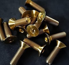 Ti-Suspension TITAN Senkkopf Schrauben gold M6x20 NEU