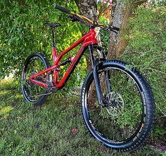 Canyon Spectral AL 6.0 Gr. L