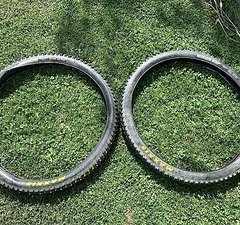 Maxxis Assegai und Minion DHF 29x2,5“ WT Enduro Reifen tubeless