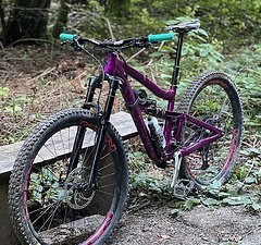 Ibis Cycles Ripmo Custom