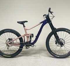 Giant Reign SX Custom