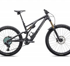 Specialized S-Works Stumpjumper Evo