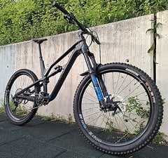 Canyon Spectral
