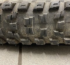 Specialized Eliminator 29 x 2.6 Grid 2Bliss