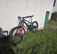 Raaw Madonna V2.0 XL Coil Fahrwerk, grosser Service, viel neu