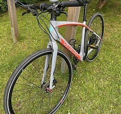 Specialized Vita Sport Carbon