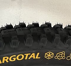 Continental Argotal Trail Endurance 29" Faltreifen 29x2,4