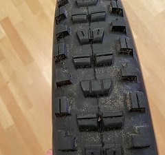 Maxxis Diverse Minion 29 & 650B