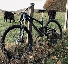 Radon Bikes Slide Trail 10.0 2021 Carbon Gr. M / 18"
