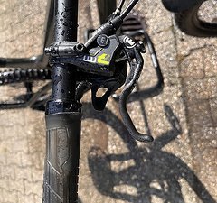 Propain Tyee CF 29 L