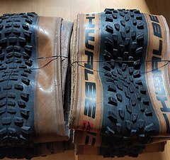 Schwalbe Racing Ralph / Racing Ray (Super Race, 29x2.35)