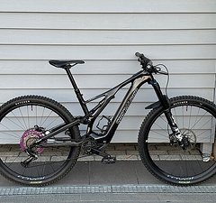 Specialized Turbo Levo SL Expert Carbon M S3 Light E-MTB 17,2 kg