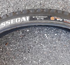 Maxxis Assegai 27,5x2,5 WT 3C MaxxGrip TR  DH Casing