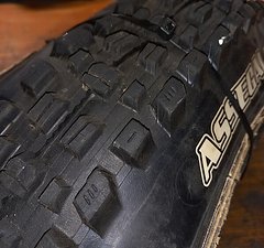 Maxxis ASSEGAI  29 x 2.5"  3C MaxxTerra  EXO+