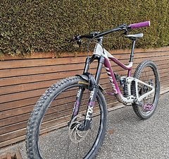 Giant Reign SX 29 (2021) - frisch vom Service