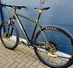 Cube Limited Edition, SRAM GX Eagle, Shimao XT, DTSwiss, 29'