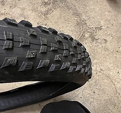 Maxxis Forekaster 29 x 2,6 EXO TR