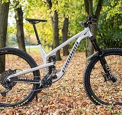 Propain Tyee 29 AL L Enduro - Carbon LRS - Dämpfer Tuning