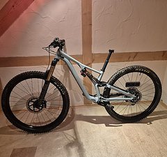 Specialized 2019 Stumpjumper Alloy 29