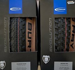 Schwalbe RacingRay / Thunder Burt