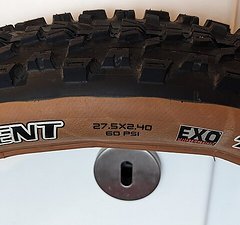 Maxxis ARDENT 27,5x2,4 EXO TR Skinwall