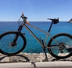 Starling Roost (long-travel stainless-steel mullet hardtail), Gr. L