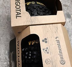 Continental Kryptotal und Argotal Supersoft Downhill 29x2,4