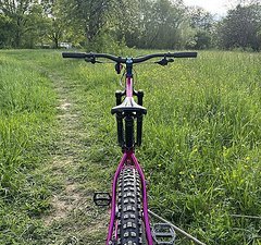 Pipedream Moxie MK2 "Longer" 29 Vivid Pink