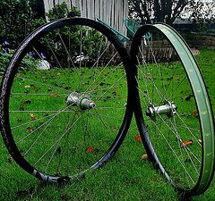 Radsporttechnik Müller Hope pro 4 mit Newmen SL A35