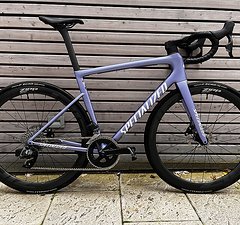 Specialized Tarmac SL8 Expert RH56 mit Zipp 303s Neuwertig