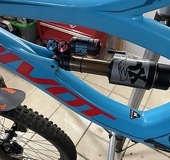 Pivot Phoenix Carbon Gr.m Phoenix Carbon