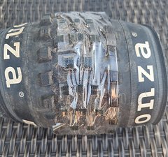 Onza Porcupine 29 2.4"