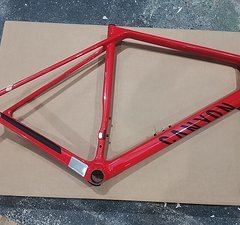 Canyon Endurace in XL