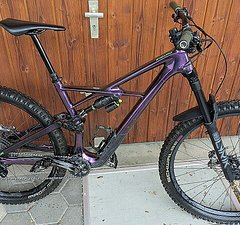 Specialized Enduro S-Works 29" Gr. L 2019 Custom