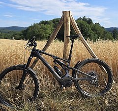 Specialized Turbo Levo Expert S6, 2022
