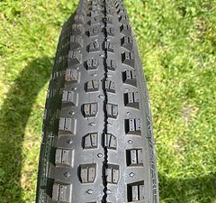 WTB Verdict